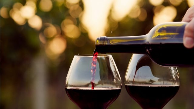 Love Wine? Take A Sip From The Top 5 Books For Budding Oenophiles