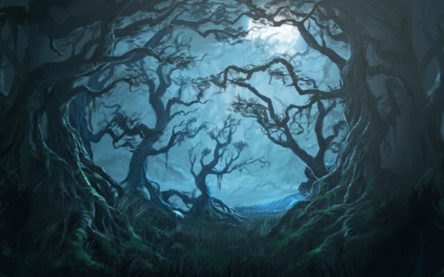Soon You Will Be Able To Visit The Forbidden Forest…If You Dare