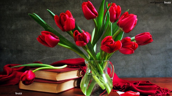 1366x768-red-tulips-in-vase