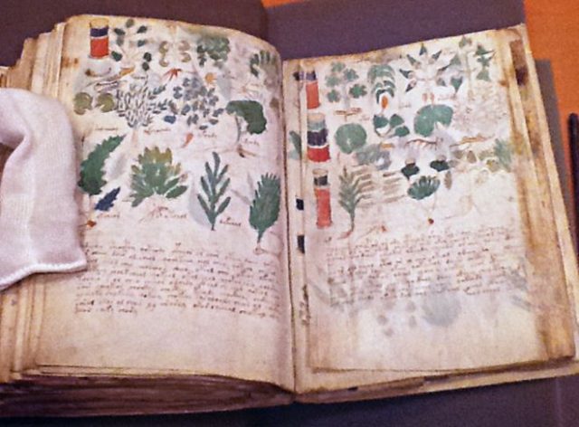 The Voynich Manuscript, A 600 Year-Old Mystery, Is Finally Getting A Publisher