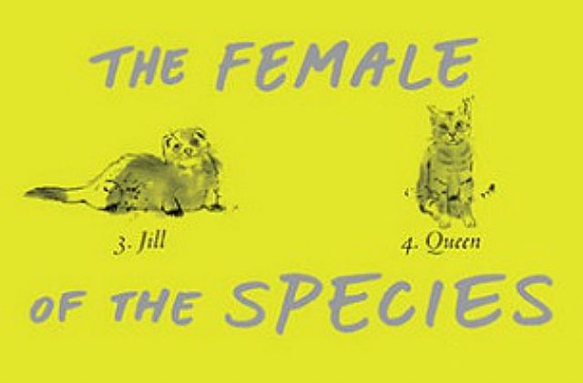 Book Review: The Female Of The Species By Mindy McGinnis