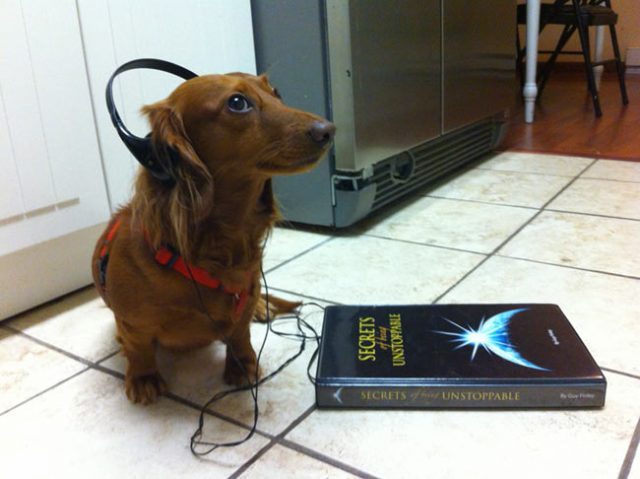 good audiobooks to listen to good audiobooks to listen to