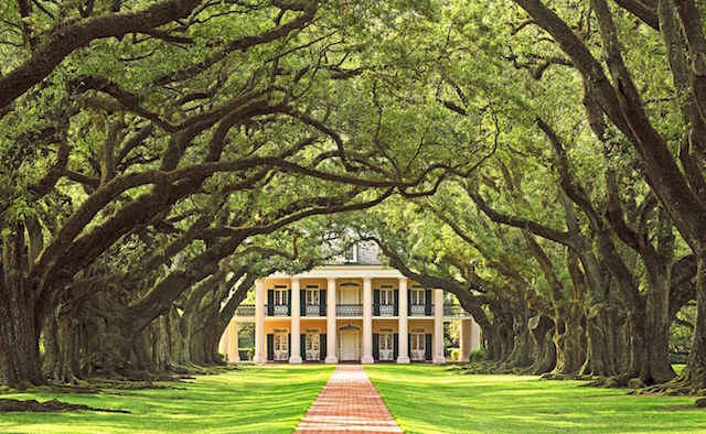 7 Books That Will Transport You To The South