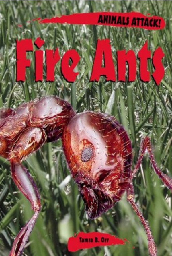 ants3