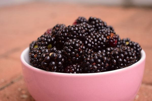 blackberries-1546147_640